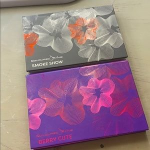 Coloured Raine Eyeshadow Palettes